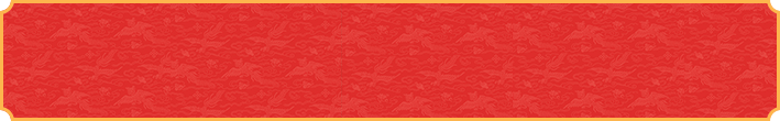加拿大,28
